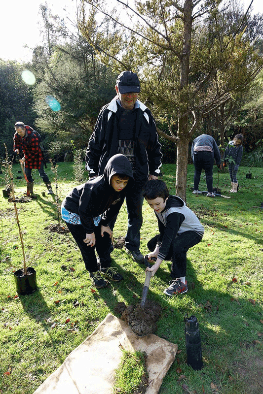 People having fun planting trees