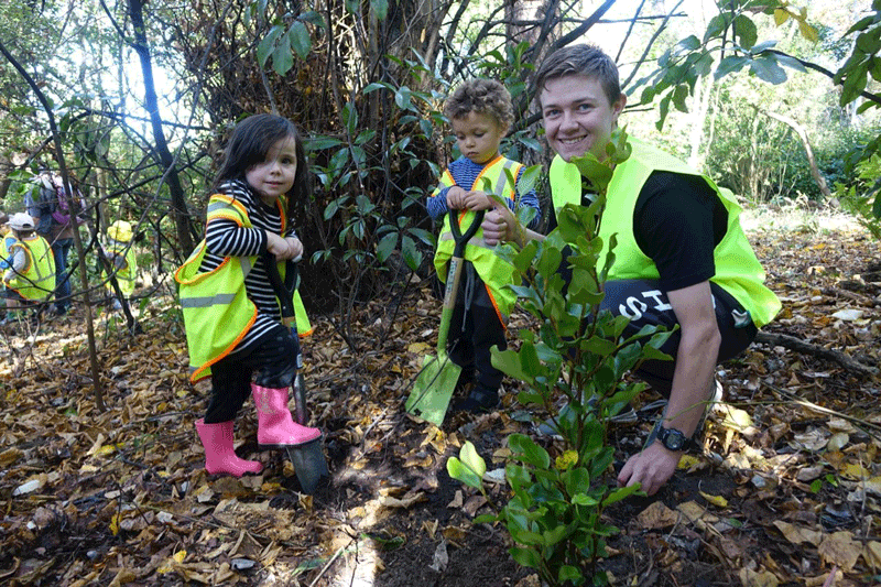 People having fun planting trees
