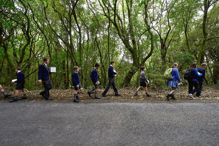 Children walking in the town belt